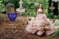 /album/photogallery/taylorswiftwonderstuck-jpg/