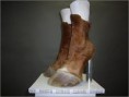 /album/photo-gallery-hunting-high-heels/images-jpg1/